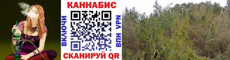 Шишки марихуана SATIVA & INDICA  Ивдель 